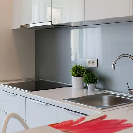 Old Luxury Iris 스플리트